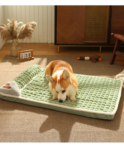 Cama Ortopédica para Mascotas