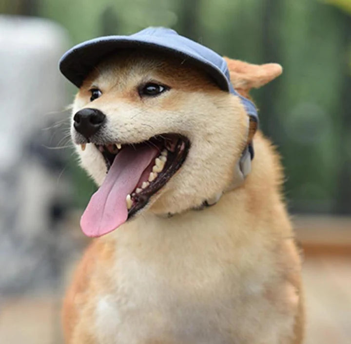 Gorra Deportiva de Verano para Mascotas