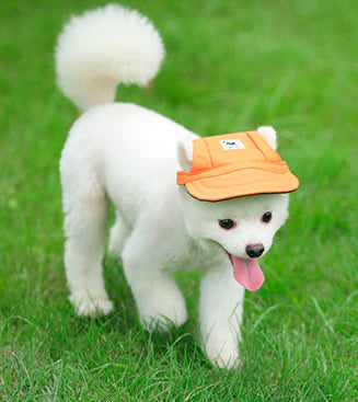 Gorra Deportiva de Verano para Mascotas