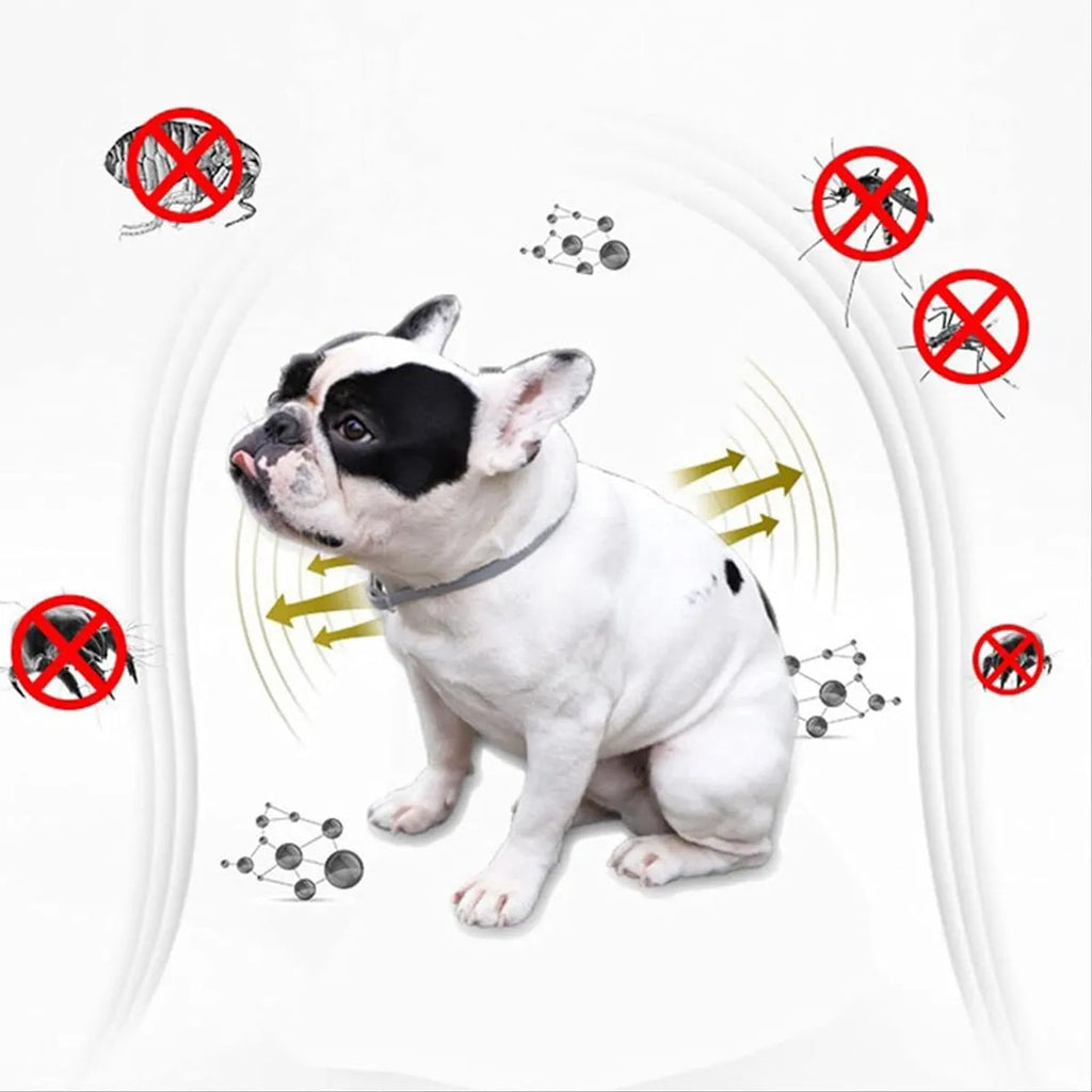 Combo Quita Pulga + Aspiradora para Mascotas