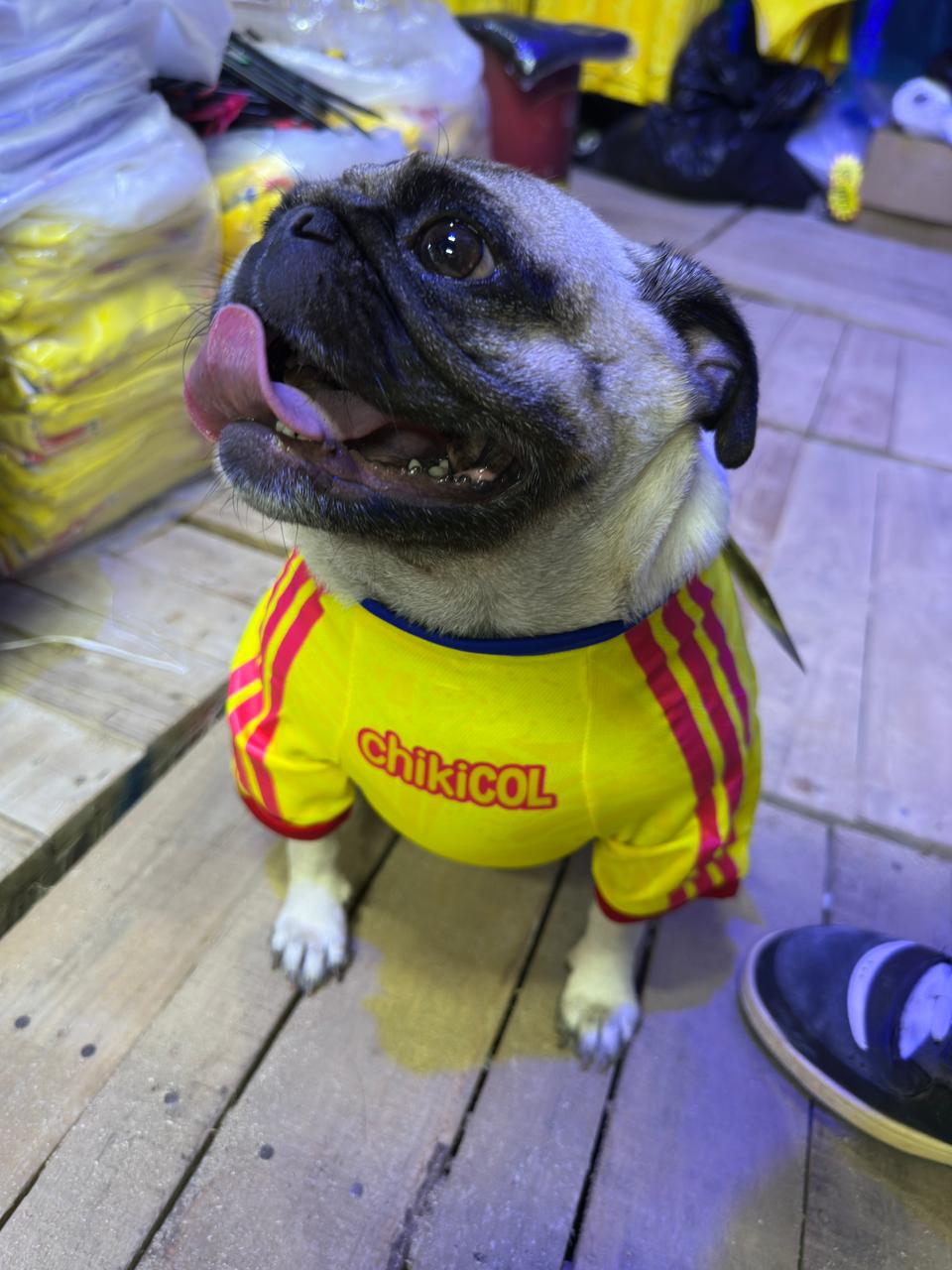 Camiseta Selección Colombia para Mascotas