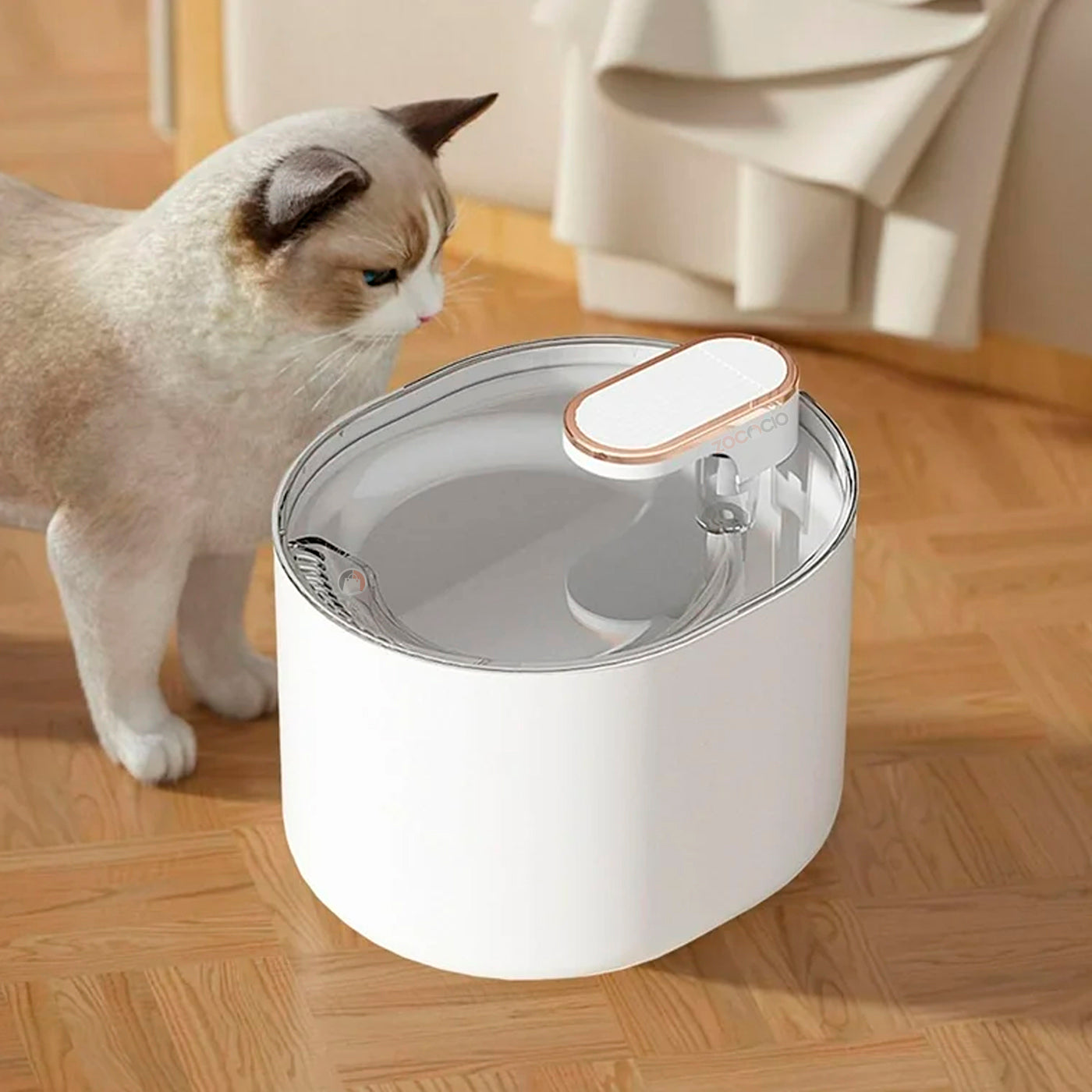 Bebedero Dispensador de Agua para Mascotas