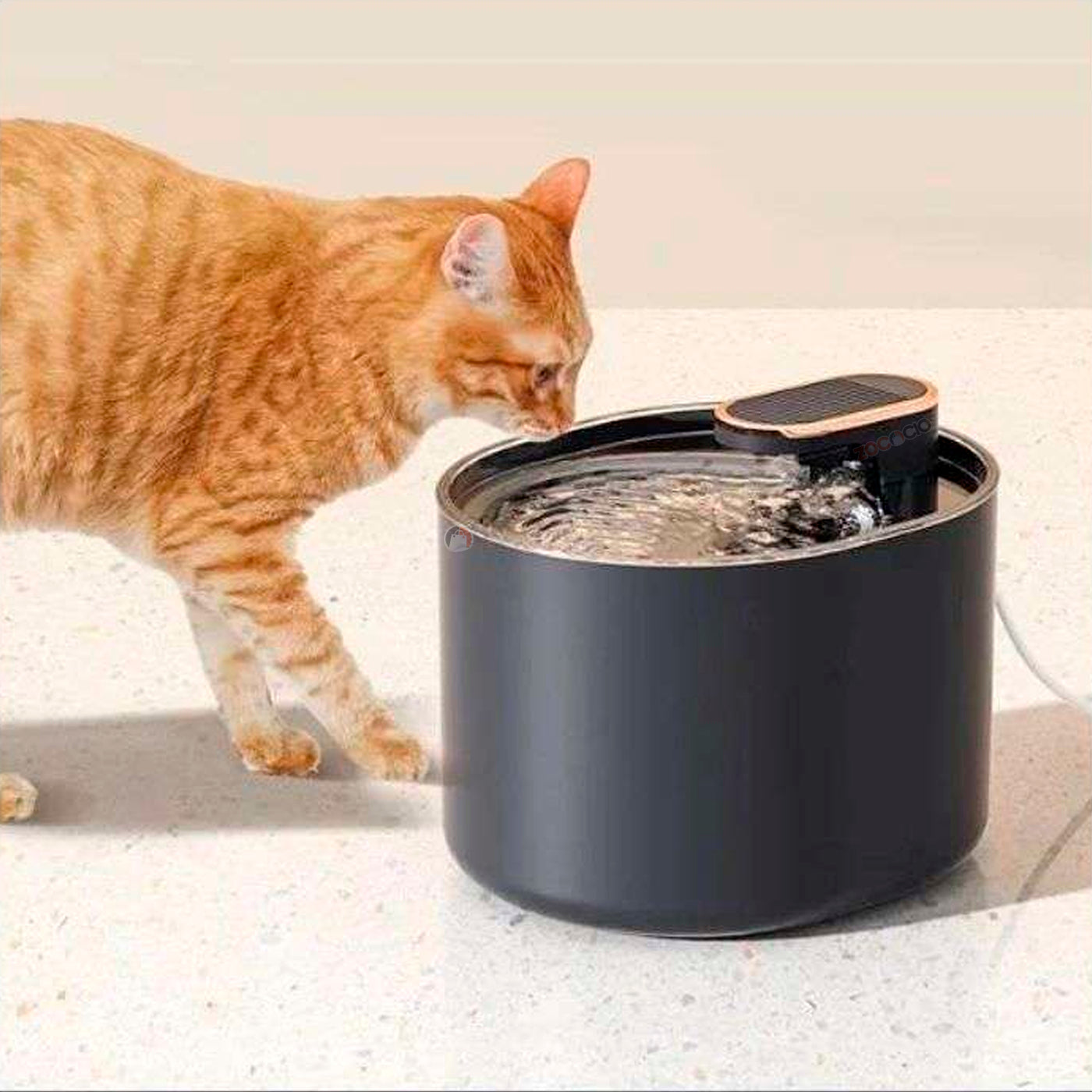 Bebedero Dispensador de Agua para Mascotas